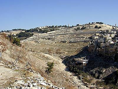 Mount of Olives from City of David